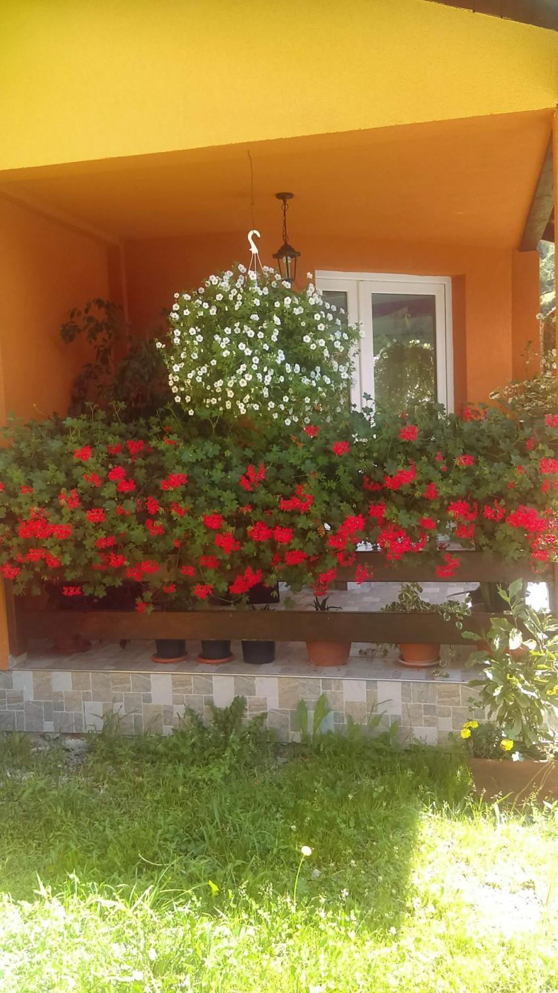 Ge-Lux Villa Incesti Buitenkant foto